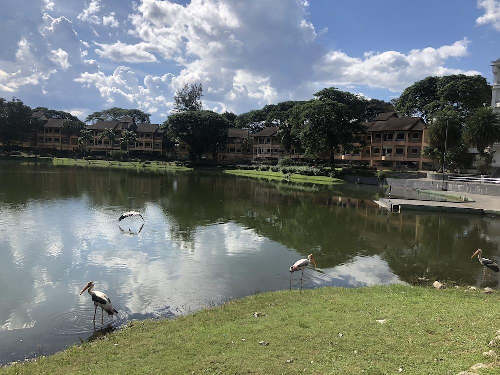 Flamingo Hotel By The Lake, Kuala Lumpur Ampang  Dış mekan fotoğraf